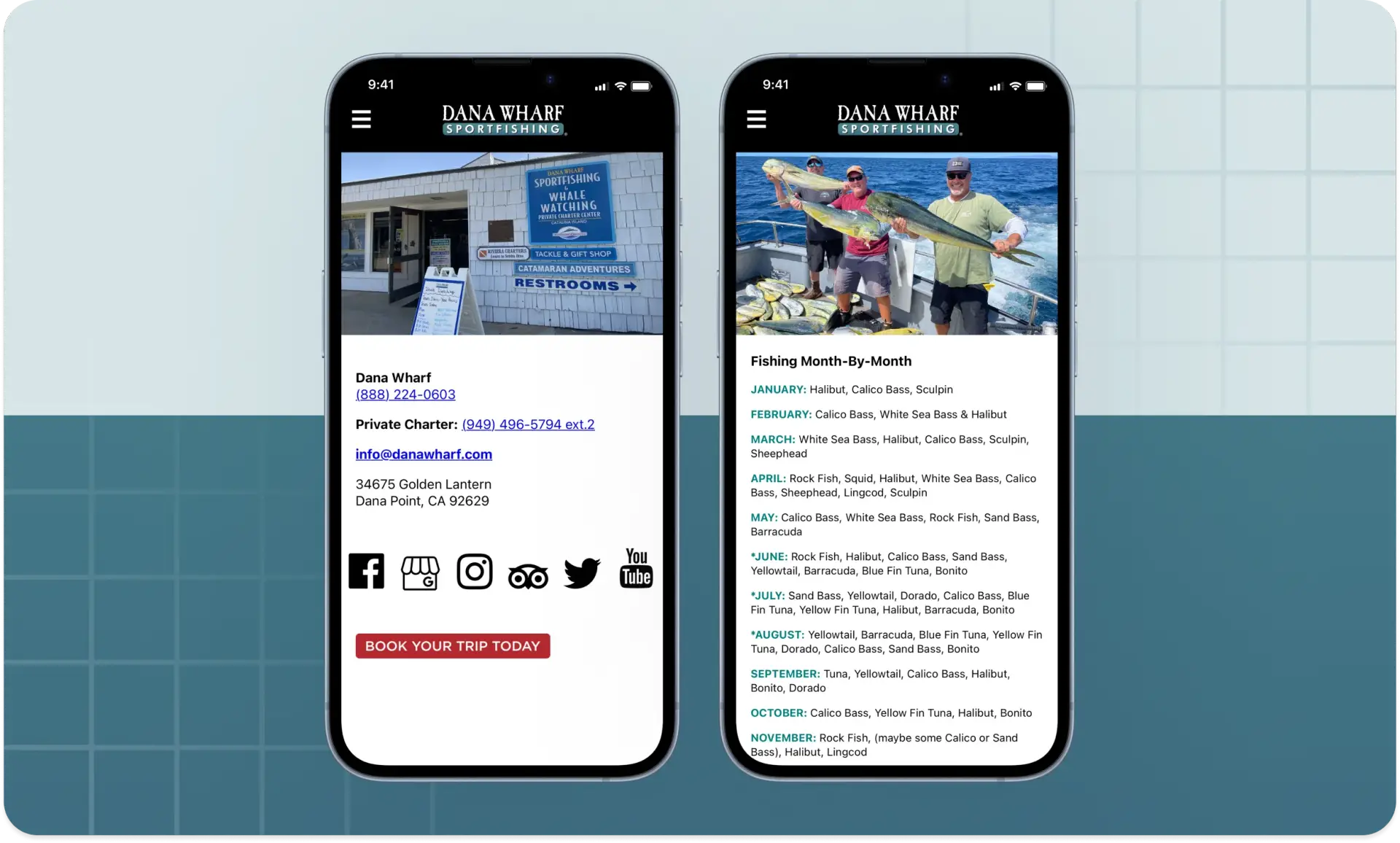 Project Overview