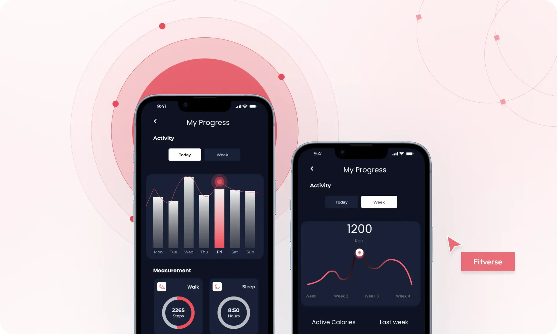 Project Overview