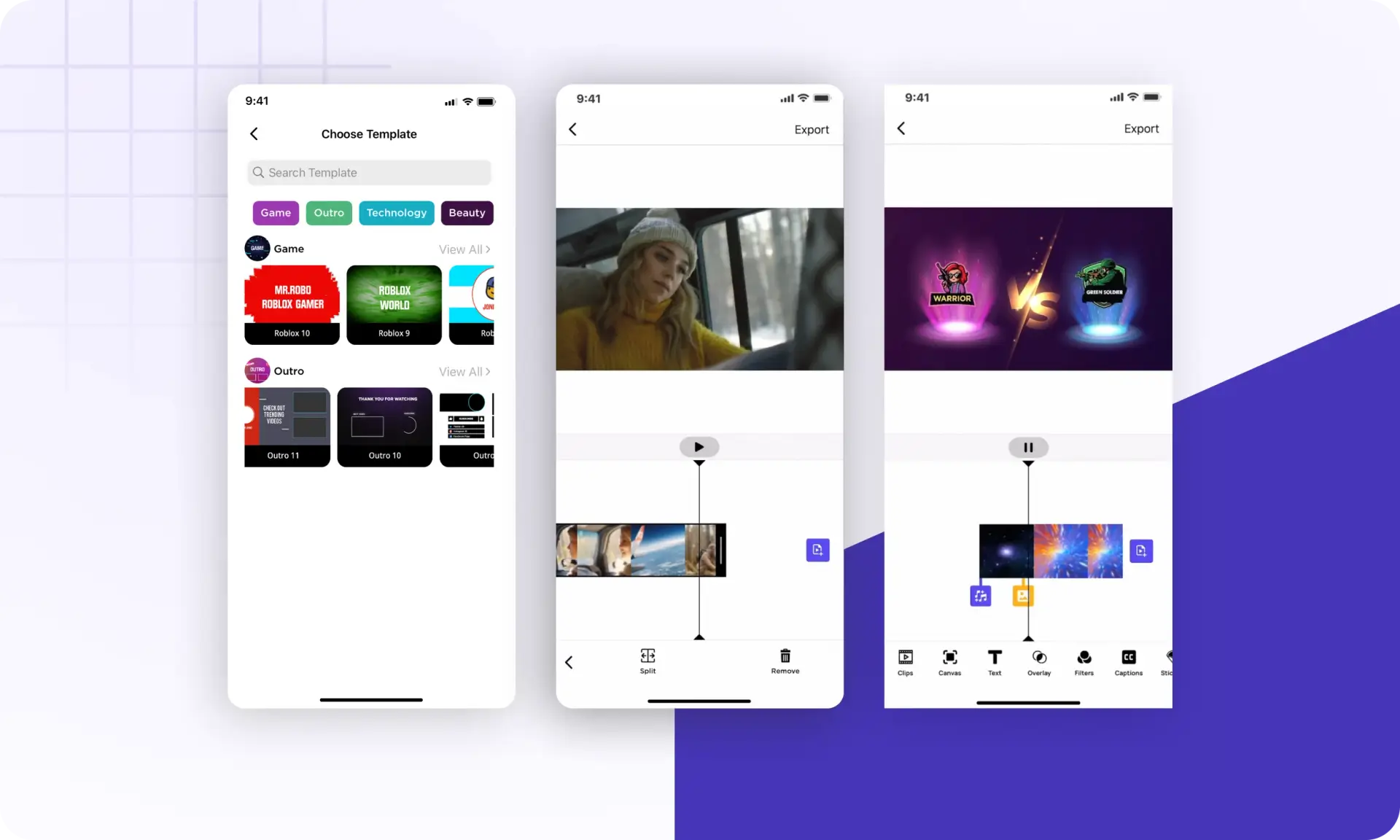 Project Overview