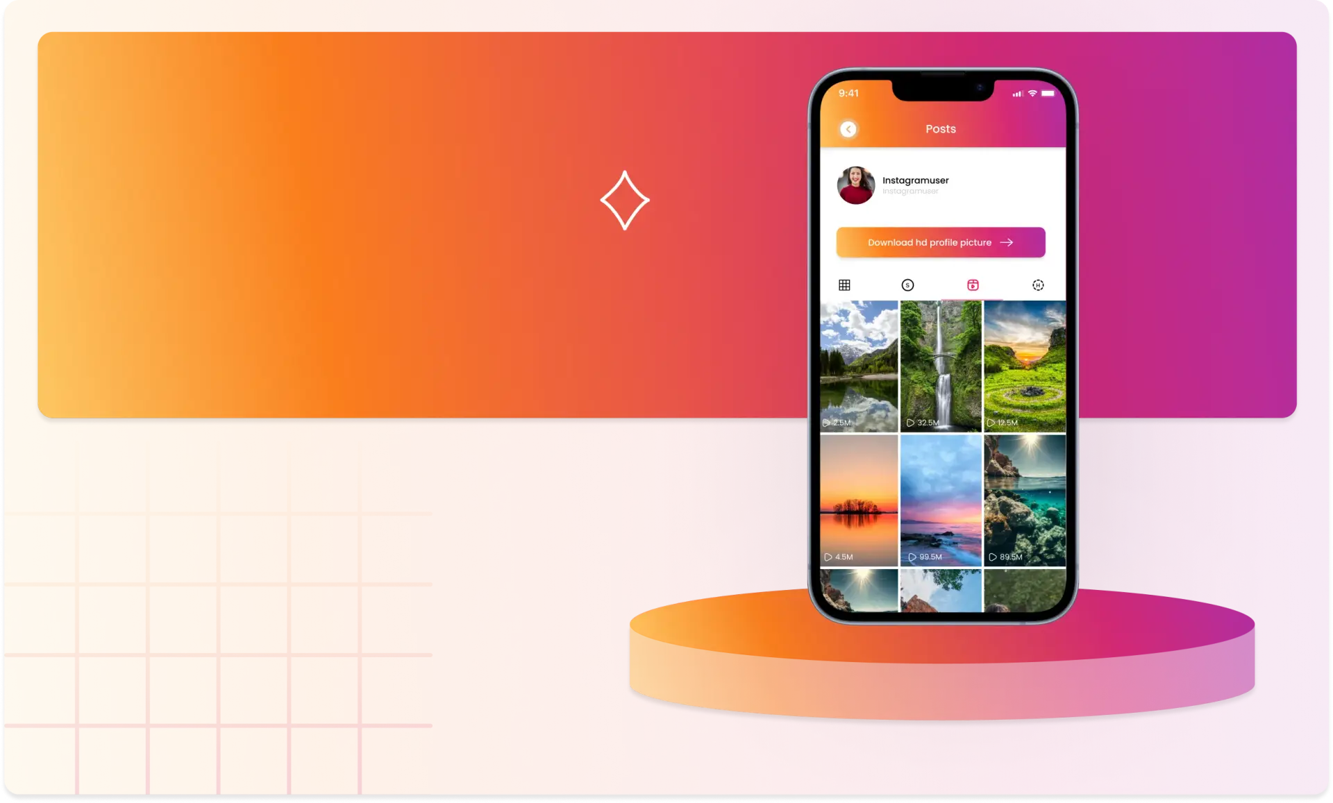 Project Overview